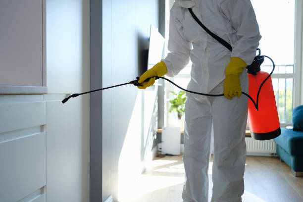 Office Mold Removal Services in Lakewood Ranch, FL